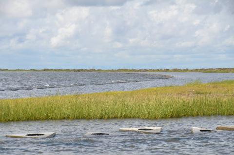 Marsh and water habitat in Louisiana. Credit: Coastal Protection and Restoration Authority.