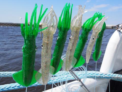 Examples of lures used with greenstick gear, an alternative gear option for project participants