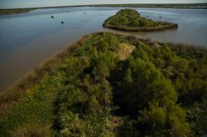 Louisiana wetlands