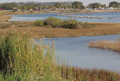 Pensacola living shorelines