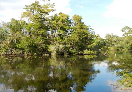 Perdido River