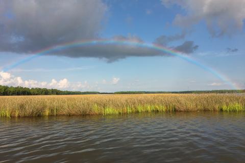 A full rainbow spread across the sky over water, marsh grass and forest.