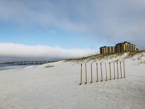 shovels on a beach