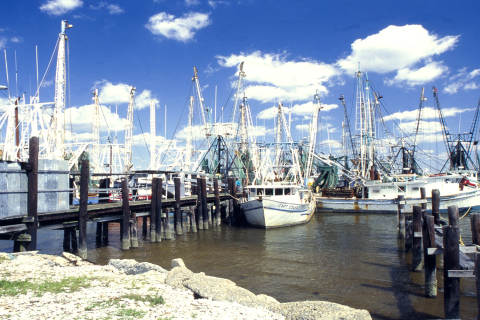 Shrimping Boats in Mississippi