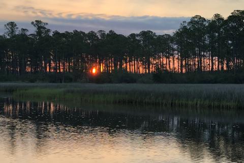 Sunset over a forested Mississippi coastal waterway. 