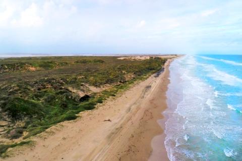 Aerial view of some recently acquired habitat at Laguna Atascosa National Wildlife Refuge