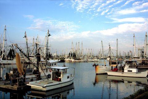 Texas fishing boats