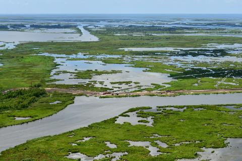 Louisiana coastal marshlands
