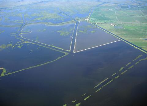 bayou dupont sediment delivery system