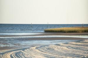 Sand, wetland vegetation, and the open water