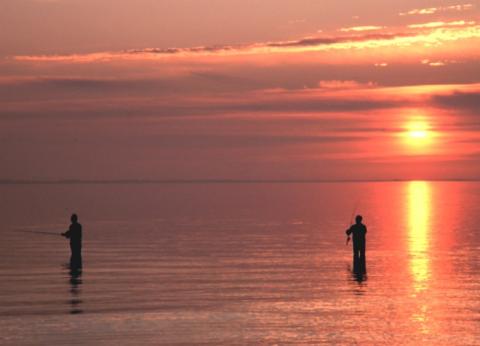 Fishing in the Gulf of Mexico