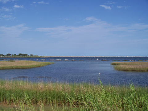 Florida living shorelines