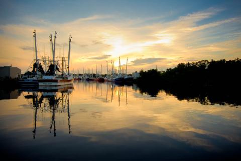 Shrimp boats docked in Bayou la Batre, Alabama. Image: Billy Pope/Outdoor Alabama