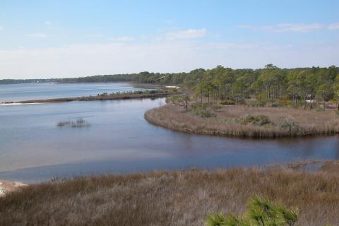 a tidal waterway in Florida. 
