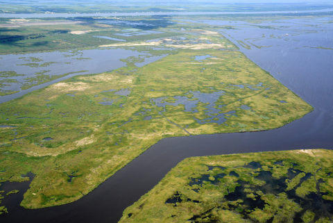 Lake Hermitage marsh creation