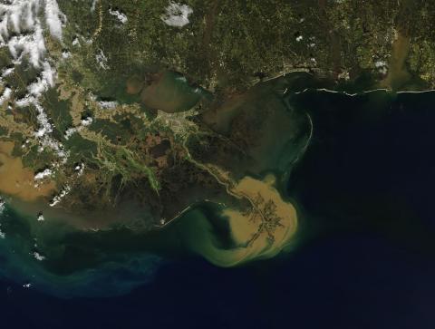 Satellite image shows sediment pouring out of the Mississippi River and into the Gulf after large storms and flooding in the central U.S. Credit: NASA