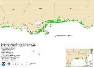 Map of documented marine mammal strandings in the northern Gulf of Mexico