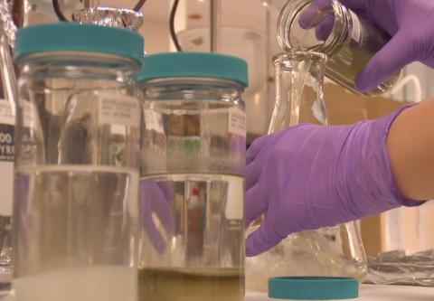 scientist pouring sample