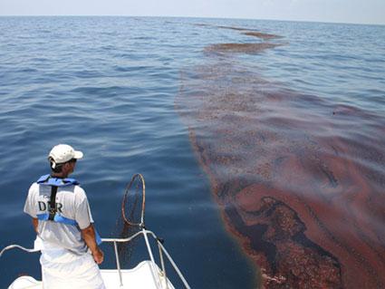 surveying oiled sargassum