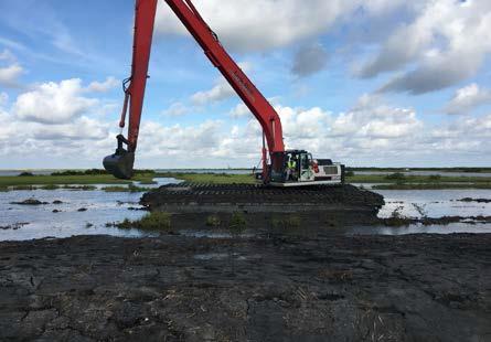 barrier island restoration in Louisiana